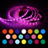 ZDM 2M  Waterproof USB 5050 RGB LED Flexible Strip Light with 24 Key IR Remote