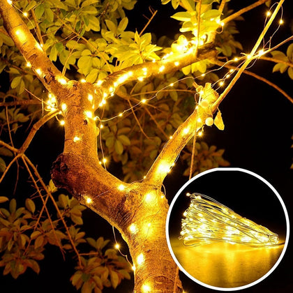 10M 100-LED Silver Wire Strip Light USB Power Supply Fairy Lights Garlands Christmas Holiday Wedding Party 1PC