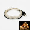 ZDM 10M USB Copper Wire Waterproof LED String Light 100 LEDs for Festival Christmas Party Decoration DC5V