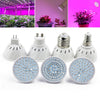 OMTO LED Plant Growth Bulb 220V  For Succulent Green Leaf Potted Plant