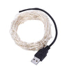 10M 100 LEDs Copper String Light Wire LED Christmas Lamp with USB