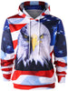 3D Eagle and American Flag Print Hoodie