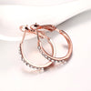 Fashion Jewelry Environmental Protection Round Shape Earrings